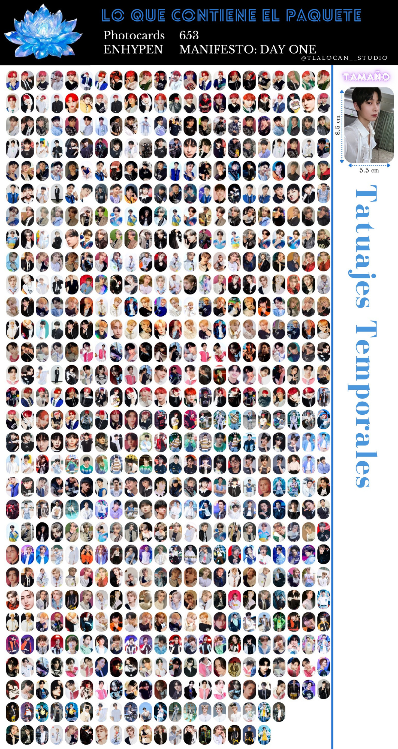 ENHYPEN / FREEBIES